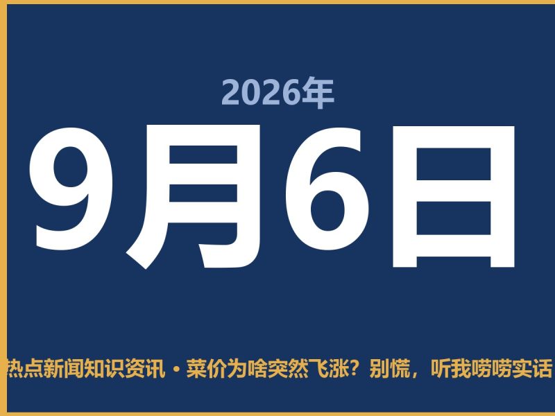 菜价为啥突然飞涨?别慌,听我唠唠实话-抱朴网事俱乐部